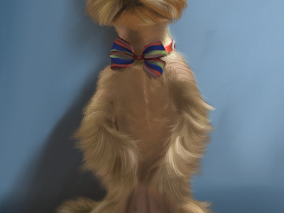 Yorkshire Terrier realistic portrait digital realistic portrait dog dog portrait graphic design illustration pet pet portrait procreate realistic dog portrait realistic portrait yorkshire terrier