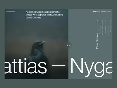Photographer's Portfolio Hero Section art direction branding clean design graphic design hero hero section home page interface landing page minimalist personal website photography portfolio portfolio website typography ui ux web web design