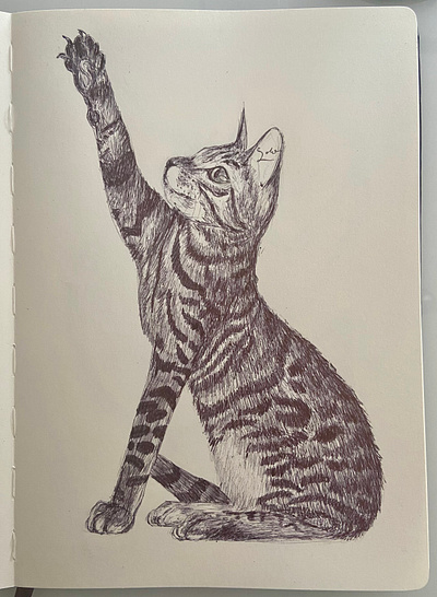 Ballpen Cat 🐈‍⬛ ballpen blackandwhite cat cats design drawing illustration sketch