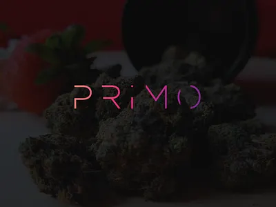 Primo Exotics brand branding gradient graphic design logo
