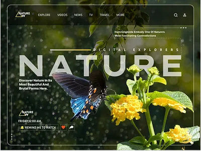 Nature blog branding design graphic design hero banner illustration landing page logo nature tv typography ui ux vector web webdesign website