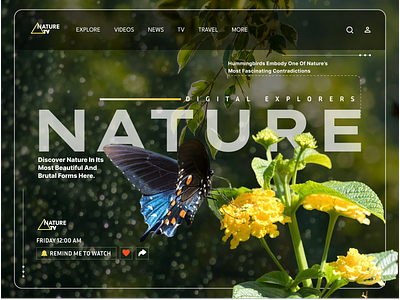 Nature blog branding design graphic design hero banner illustration landing page logo nature tv typography ui ux vector web webdesign website