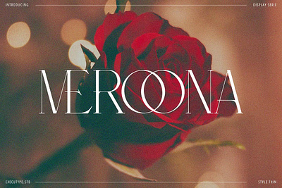 Meroona - Display Serif font fonts meroona display serif typeface typography