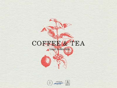 Coffee & Tea Logo Collection brand design brand identity branding branding design coffee design portfolio hand drawn identity design logo logo design logo designer logodesign logofolio logomark logos logotype portfolio tea vintage visual identity