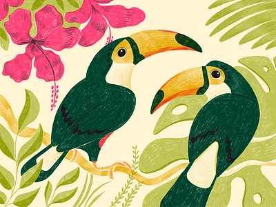 Bird Care Brand Art animals art bird birds brand illustrations branding design design studio digital art digital artwork digital illustration graphic design illustration illustrations illustrator nature nature art procreate toucan wildlife