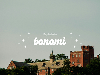 Bonomi Branding branding graphic design illustration ui