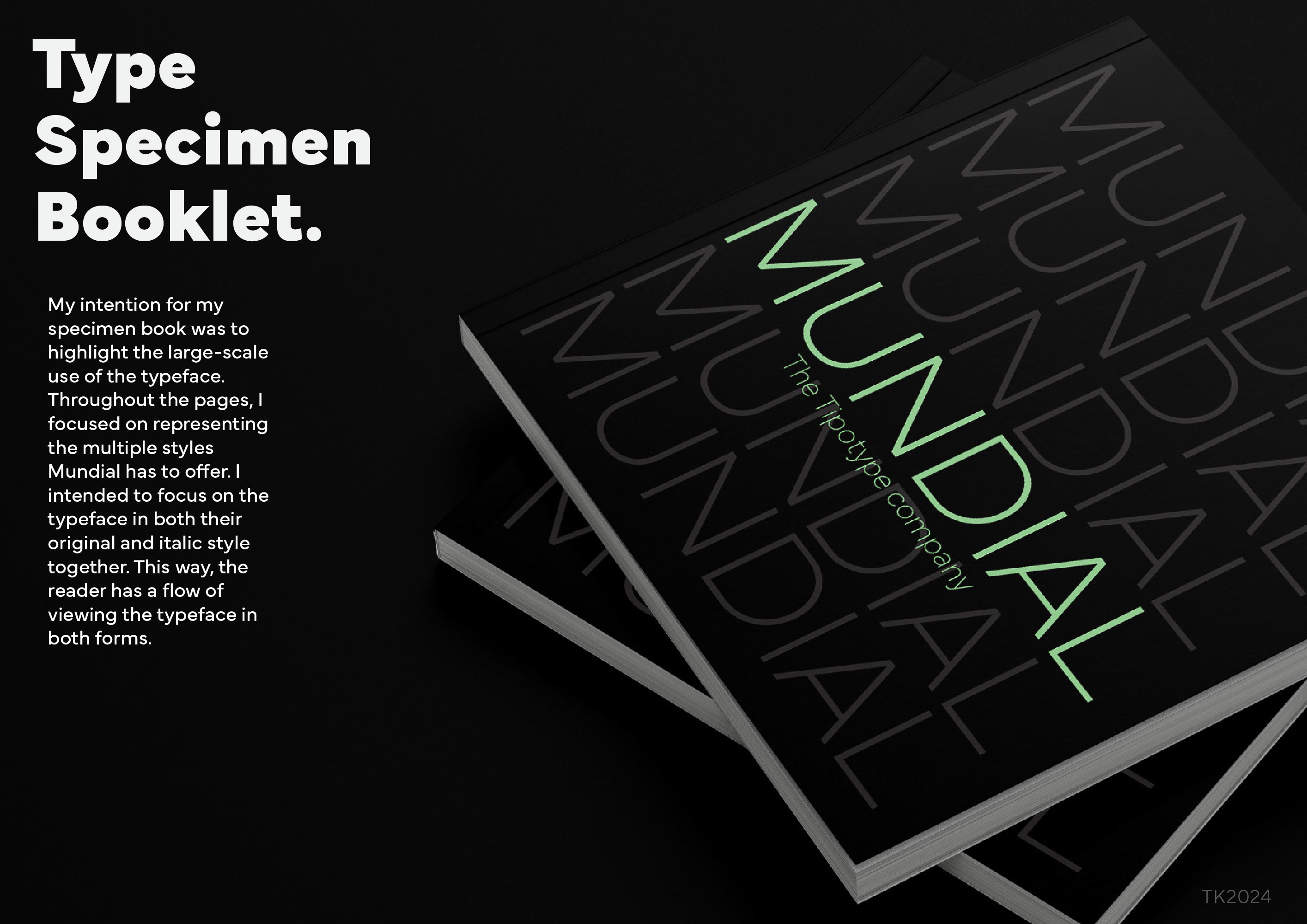 Type Specimen Booklet adobe adobe illustrator book design designer drawing graphic design type type specimen typography