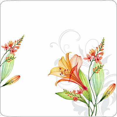 square flower orange abstract branding design flower graphic design illustration vector