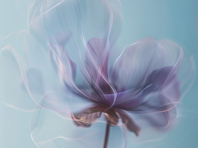 ICM Dreamy Flowers ai dreamy flowers freelance freelancer icm macro poster still life wall art