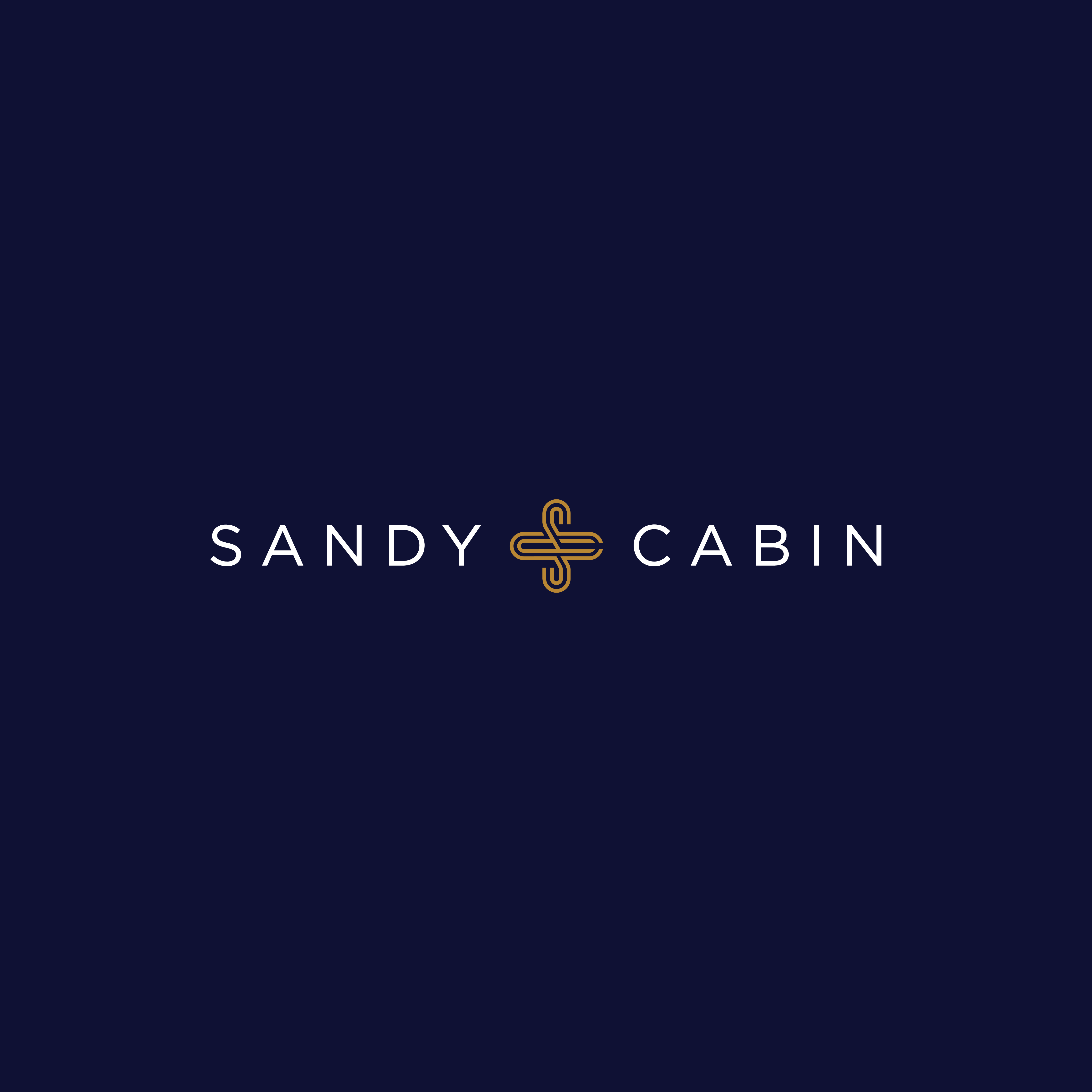 Sandy Cabin Branding branding identity illustration illustrator logo minimal palette vector