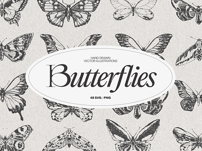 Drawings of butterflies butterflies butterfly butterfly drawing butterfly illustration butterfly logo vintage butterfly