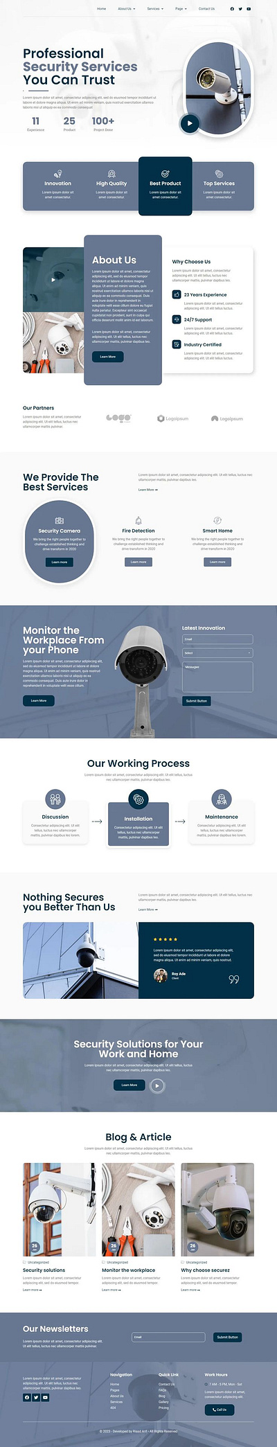 Alaska website branding graphic design security ui website