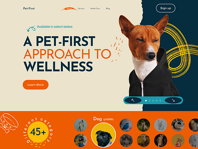 Pet Care Web App branding care cat cats design development dog dogs figma landing page pet reactjs uiux web app wellness