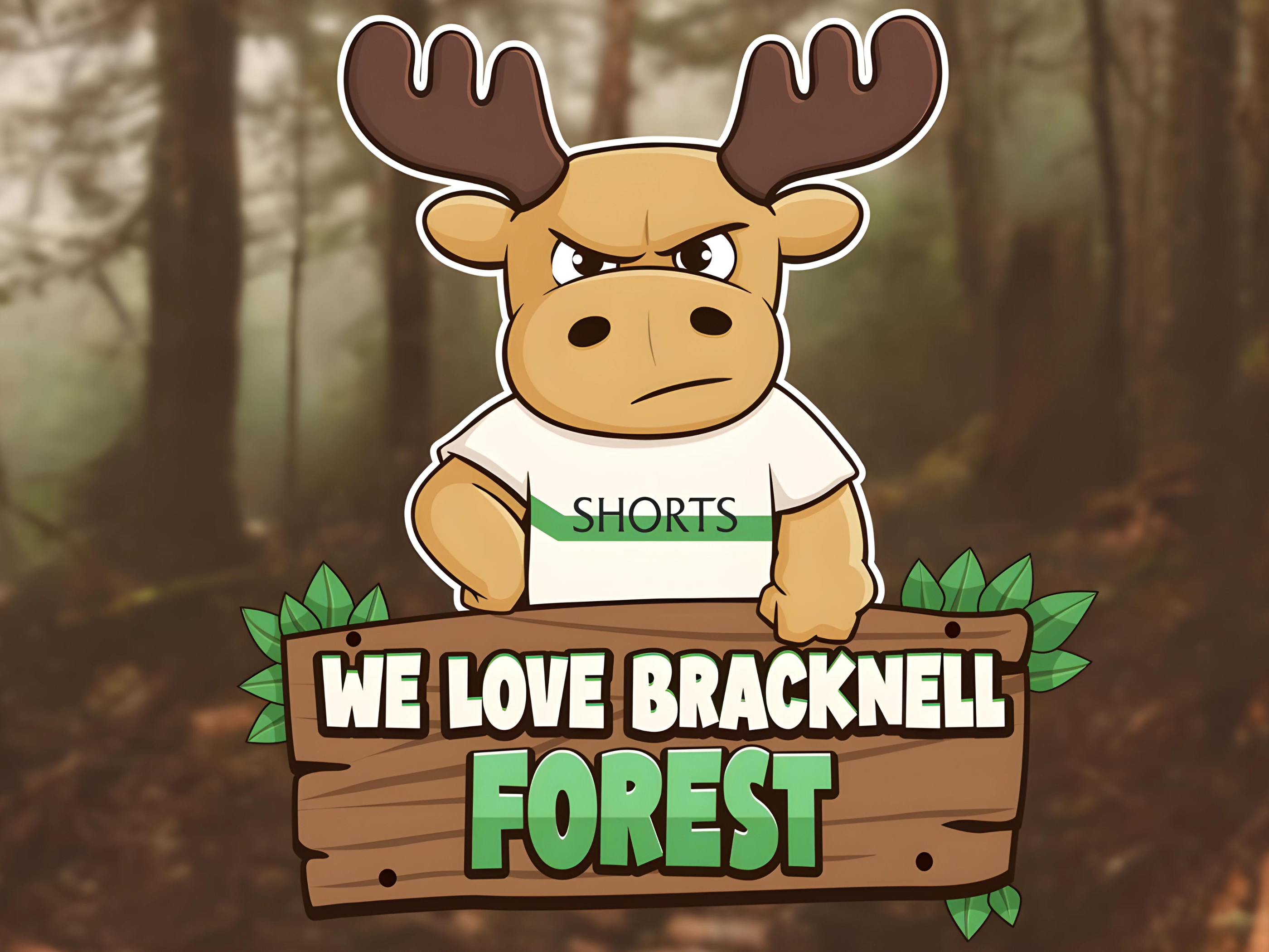 Example of Custom Animal Cartoon Character Design