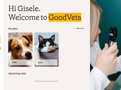 GoodVets product design ui ux vet