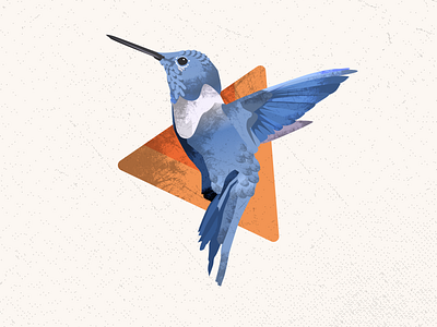 Hero image for personal brand bird brand branding design figma illustration