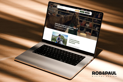 Connemara Pony Sales design graphic design ui ux website development websitedesign
