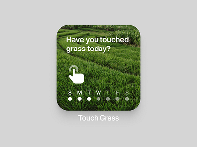 Have you touched grass today? grass ios touch tracker ui widget