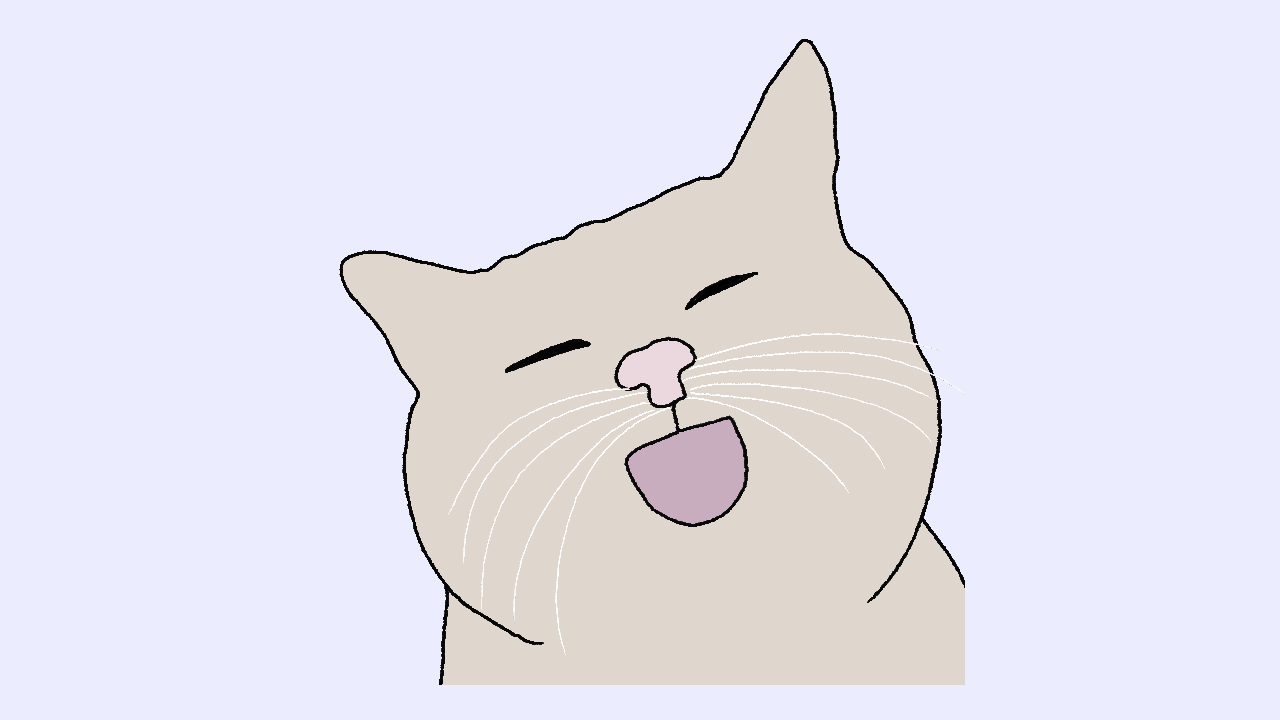 Funny cats_ Gifs animals animation cats cute cute cats explore funny funny cats gif gifs images motion graphics new