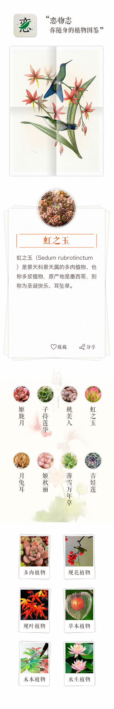 Your Portable Plant Guide app branding graphic design illustration logo ui