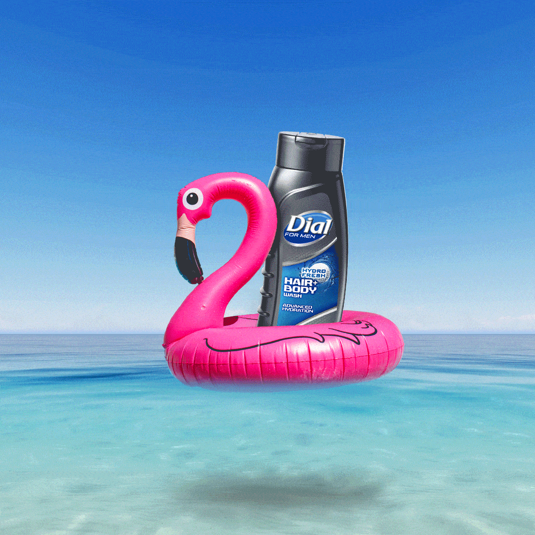 Dial: Summer Vibe Series–Flamingo Float by Eric Park on Dribbble