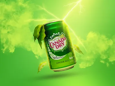 Canada Dry Product Manipulation ads advertising animation banner graphic design manipulation motion graphics postar product design product manipulation social media post socialmedia visual identity