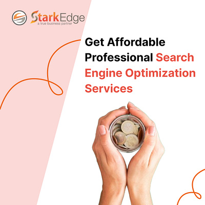 Get Affordable Professional Search Engine Optimization Services seo
