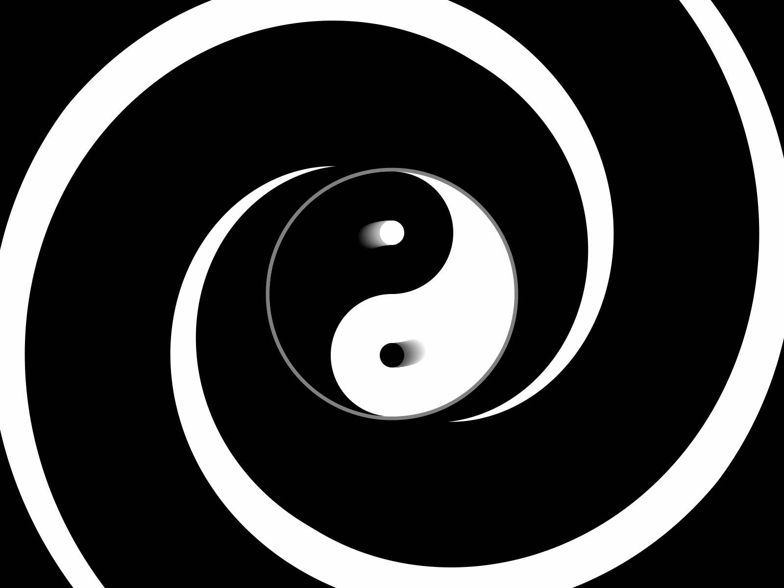 Yin-Yang Loop after effects black and white gif loop yin yang