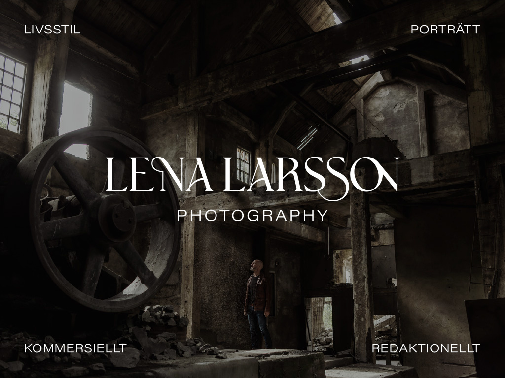 Branding for a photographer branding logo typography ui