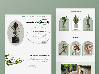 Design plant website graphic design ui ux