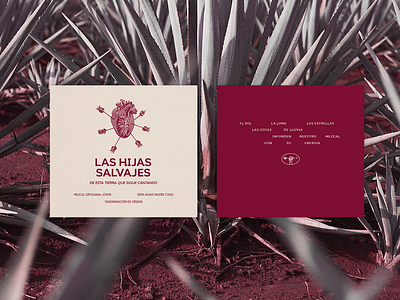 Mezcal | Las Hijas Salvajes Visual Identity branding graphic design layout logo mexico mezcal typography