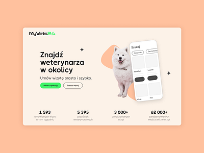 MyVets app my vet ui ux vet