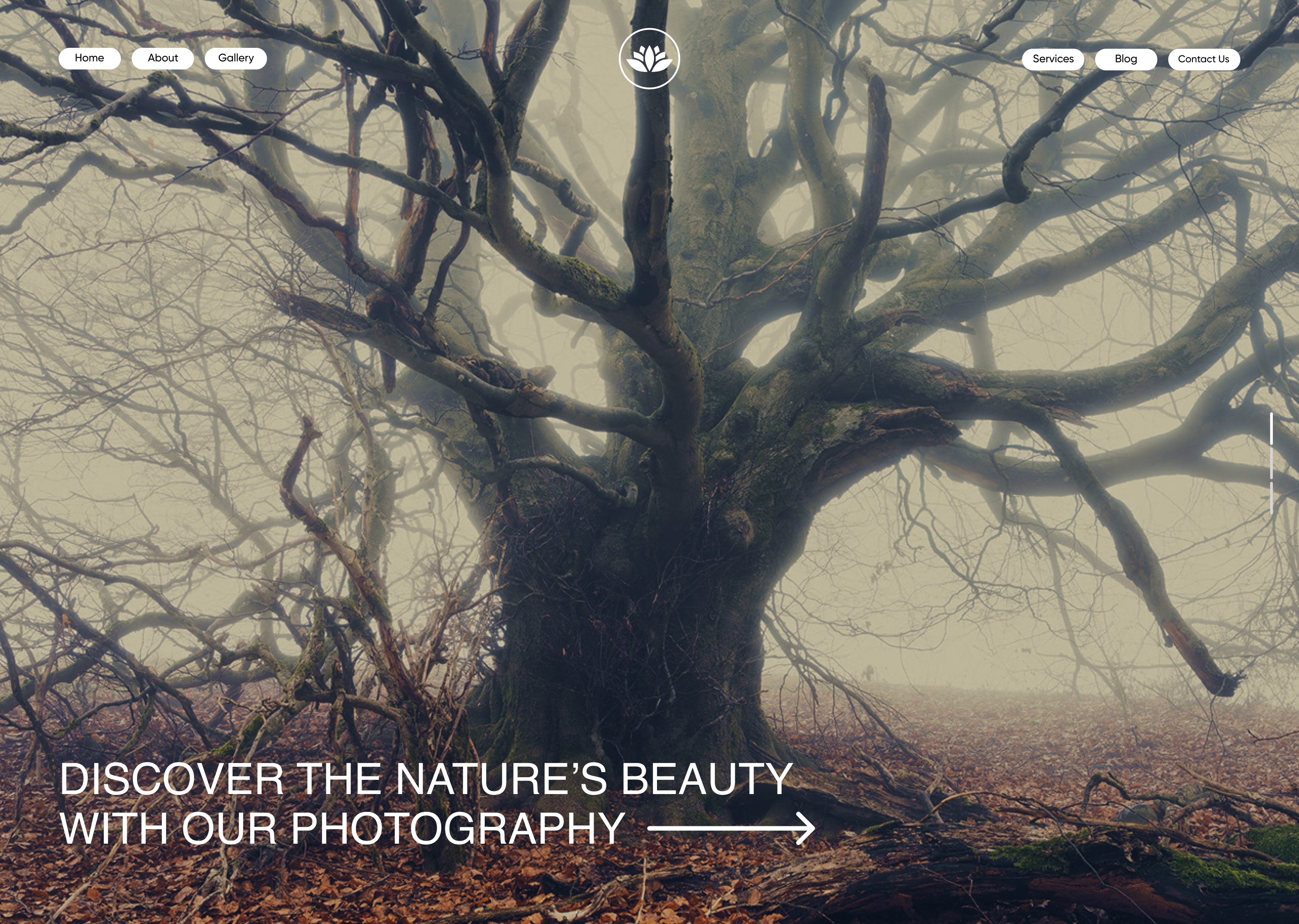 Photography Hero section graphic design hero section landing page web design