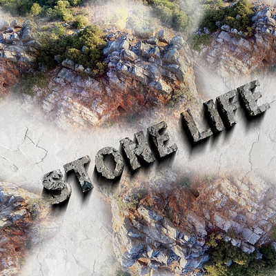Stone-Life graphic design