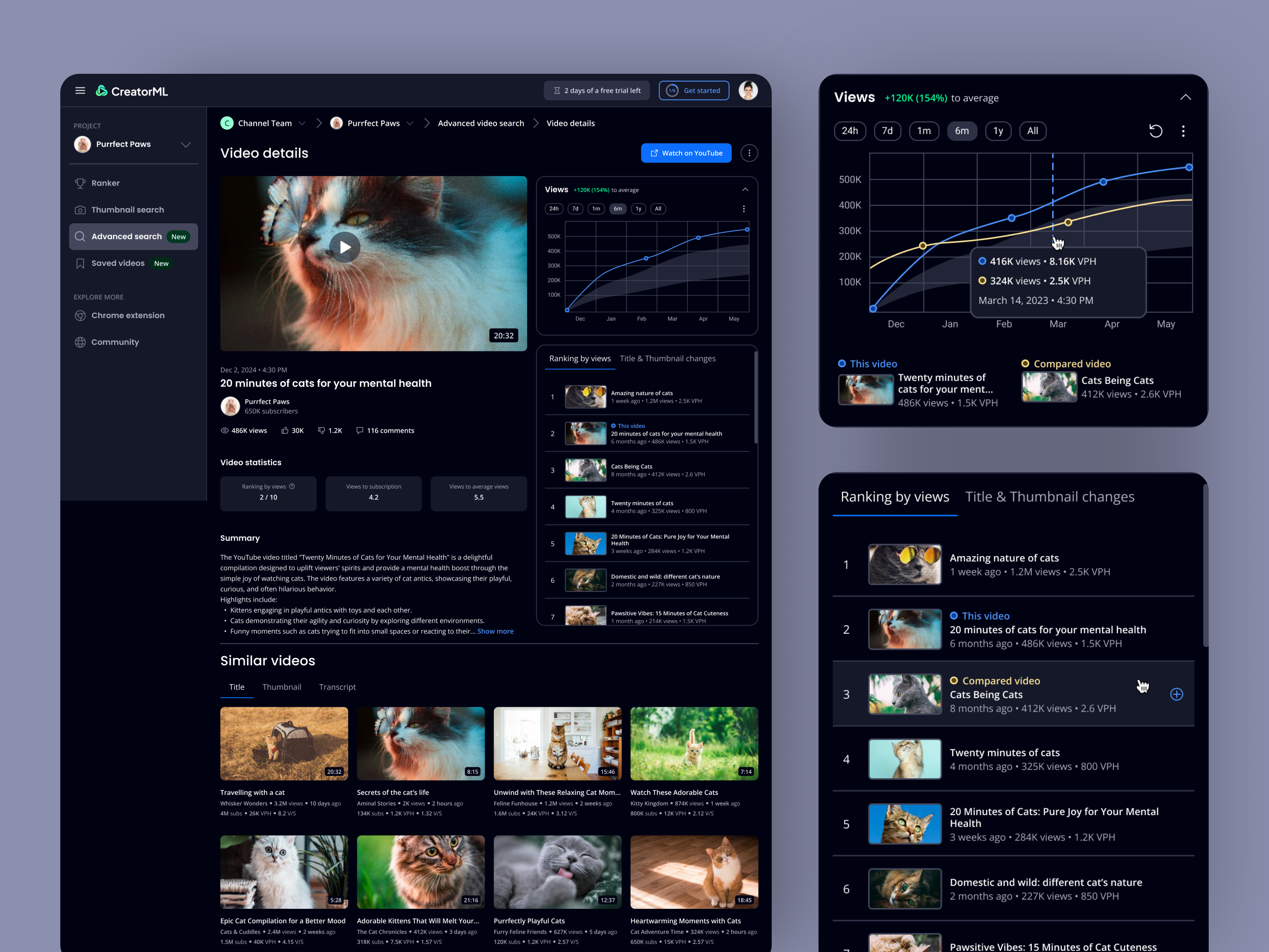 Example of Video details screen