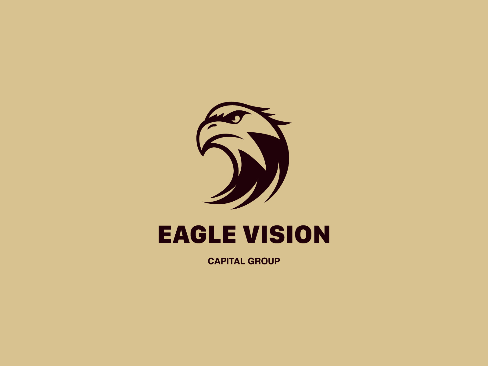 Eagle Vision Logo Concept brand identity branding capital logo eagle eagle logo finance logo identity logo logo mark
