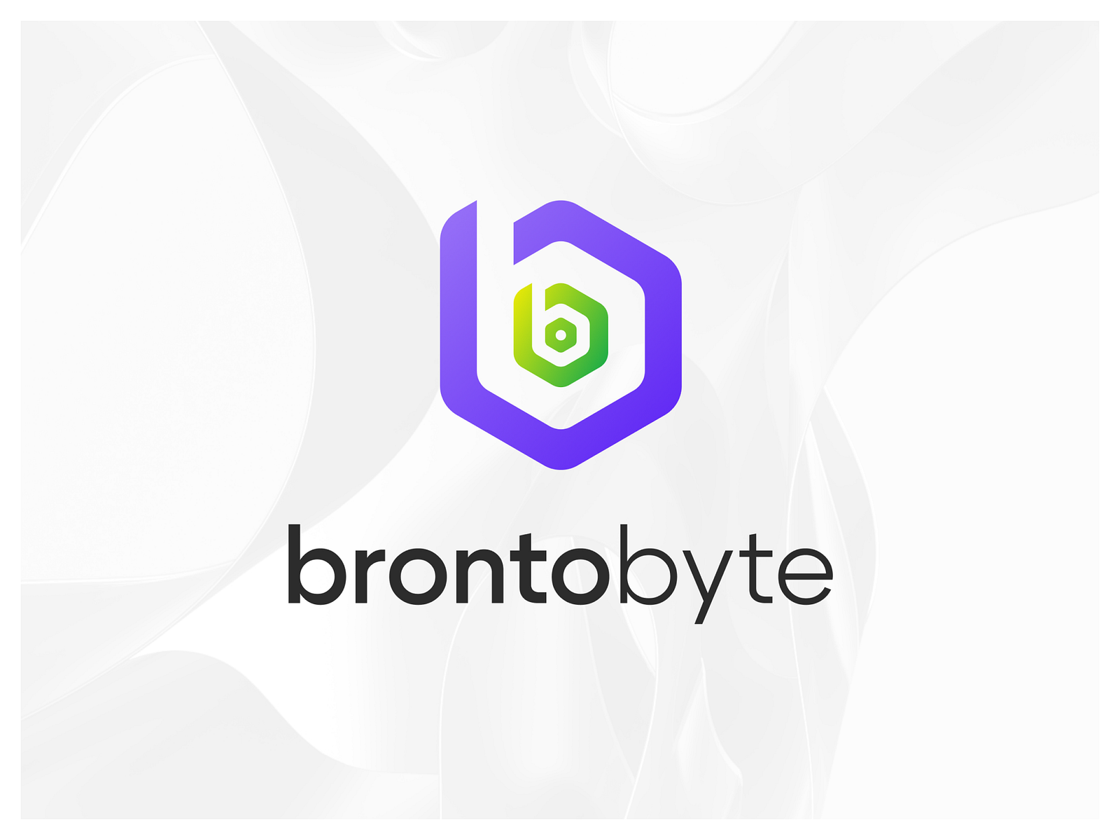 Brontobyte Logo After 10 Years By Stefanoo On Dribbble