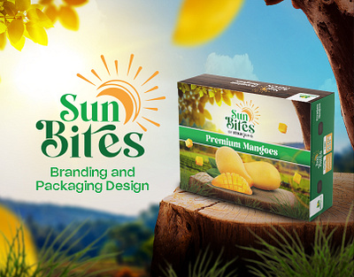 Branding & Packaging Design Stanfarm (SunBites) branding farm graphic design illustration logo design mango packaging design poster designs social media post vector