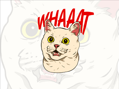 WHAAAT 2d animal cat comedy digital drawing drawing funny illustration procreate