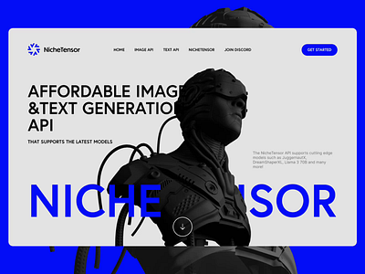 NicheTensor - Affordable Image&Text Generation API - LandingPage 3d ai animation bitcoin blockchain branding btc chatgpt crypto gpt graphic design homepage landing page logo minimal minimalist motion graphics ui web website