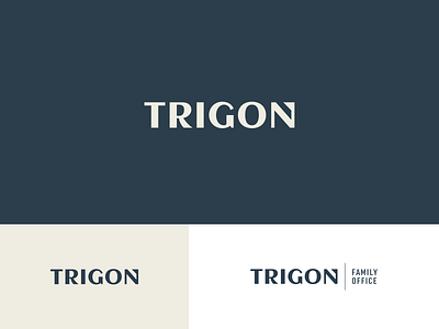 Trigon branding logo logotype wordmark