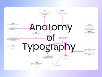 Anatomy of typography anatomy components design hierarchy inspiration letters structure text typography ui user engagement