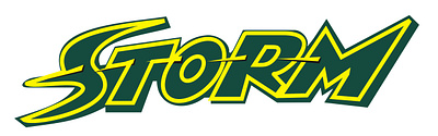 STORM graphic design logo logo design vector logo