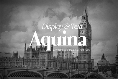 Aquina Display & Text Serif Font Family display font font family oldstyle font serif font text font