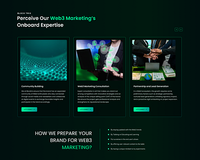 web3 Marketing Expertise Web UI branding graphic design illustration typography ui ux vector website design