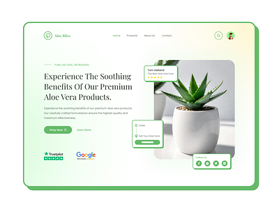 Aloe Vera Shop: From Wireframe to Stunning UI design figma landing page prototype ui ux web website