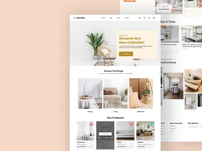 Furniture Website branding graphic design ui