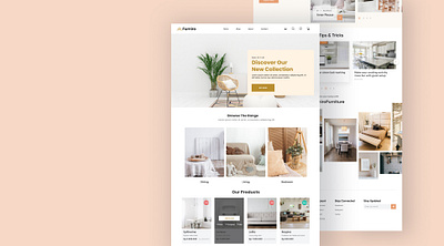 Furniture Website branding graphic design ui