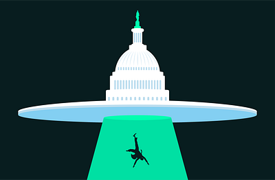 Election 2024 - Stealth Project animation campaign dc elections flat government illustration jitter politics science vote