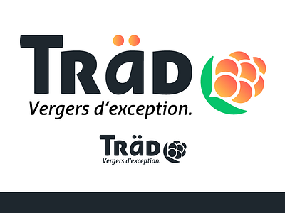 Träd Branding brand branding graphic design identity illustrator logo visual